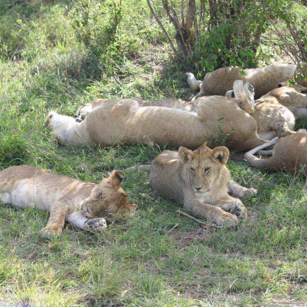 Etosha Nationalpark